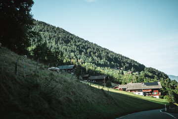 Wooden hut in the alps with mountains in the background Panorama