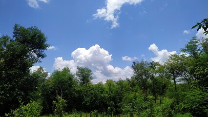 sky with clouds