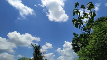 blue sky and clouds