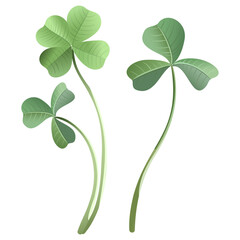 A set of leaves and flowers of a fern in a botanical style, a symbol of the holiday of St. Patrick's Day