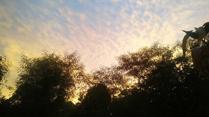 silhouette of a cyclist