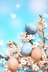 Easter eggs with spring blossom flowers on blue background. Colored Egg Holiday border.