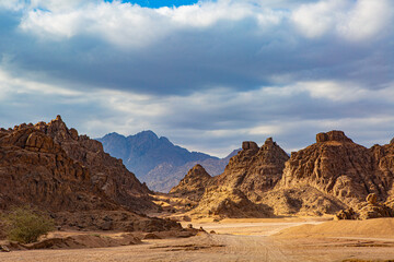 landscape in the desert