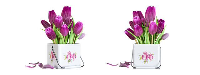 Tulips in a vase on white background