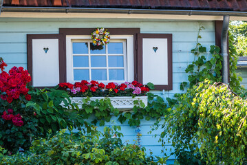 Hübsches Landhausfenster in Boltenhagen