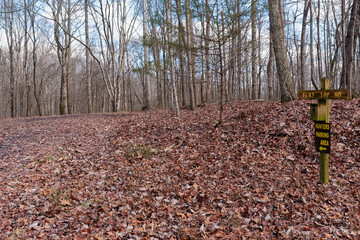 Wooden road sign and bird house on an unpaved mountain trail in a winter forest and a deer hunters parking area. Flat Top Road in Tennessee on Bear Creek Wildlife Management Area