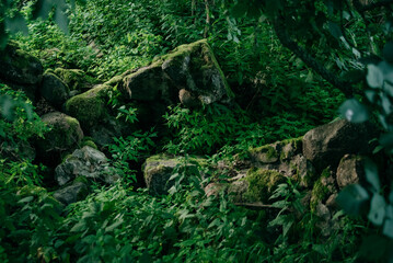 Stone stairs overgrown with green moss outdoors