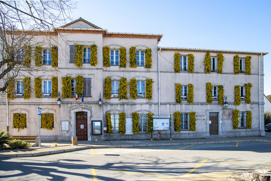 The town hall in the southern french town of Tanneron with mimosa on the shutters