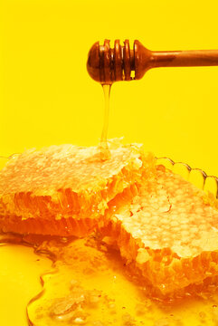 honey dripping and honey comb