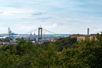 Landscape view of forest and city