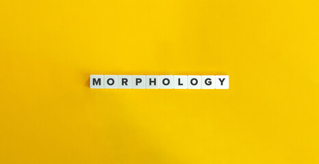 Morphology Word on Letter Tiles on Yellow Background. Minimal Aesthetics.