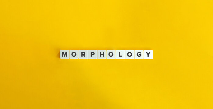 Morphology Word on Letter Tiles on Yellow Background. Minimal Aesthetics.