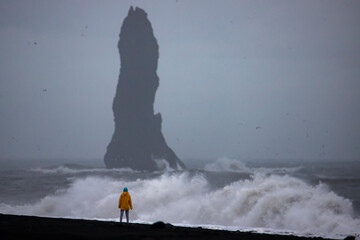 Brave girl in yellow raincoat admires powerful very high waves during storm on famous reynisfjara...