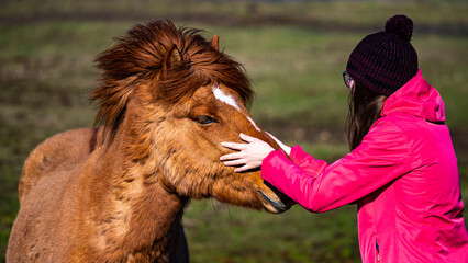 girl strokes and cuddles icelandic horse showing her love for the animal, unique and beautiful...