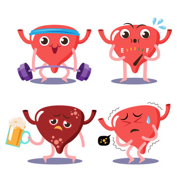 cute bladder vector ,illustration flat cartoon organ character positive exercise good health, full human, negative unhealth drink alcohol, pain, inflammation from disease.