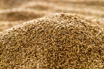 Abstract background grain harvested harvest
