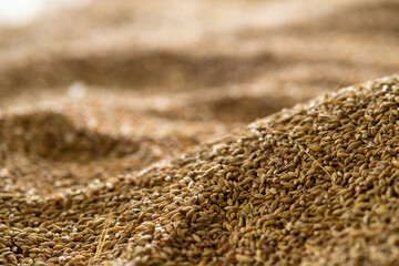 Abstract background grain harvested harvest