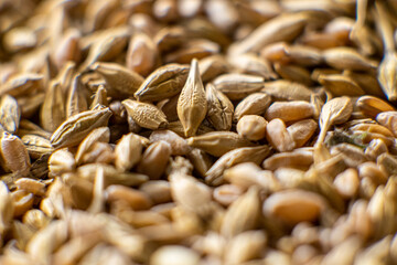 A mix of grains of different types Background close-up