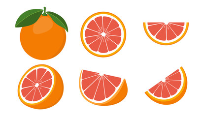  Fresh grapefruit  fruits. Collection of grapefruit vector icons isolated on white background.