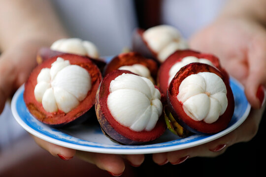 Mangosteen fruit split on a plate, tropical fruit with sweet juicy white segments, Vietnam, Indochina, Southeast Asia, Asia