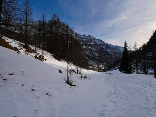 Fototapeta na wymiar Winter around Gressoney-Saint-Jean, Valle d'Aosta,Italy.