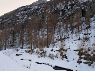 Obraz na płótnie Canvas Winter around Gressoney-Saint-Jean, Valle d'Aosta,Italy.