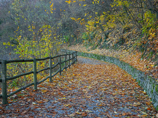 On the paths in autumn around the Crea sanctuary. Piedmont region, Italy.