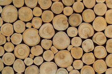 Cross-sectional sections of stacked logs.