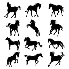 Set of horses silhouette vector illustration