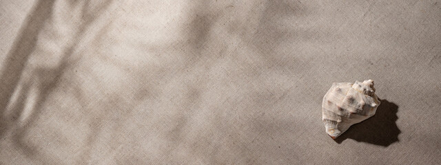 Minimalist aesthetic neutral summer vacation texture banner, close up view of sea shell with floral shadows on a beige textile background.