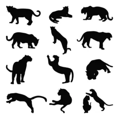 Foto op Plexiglas Set of wild jaguar silhouette vector illustration © Ascreator