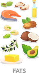 Fats healthy macronutrients chart. Cartoon food icon