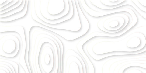Fototapeta na wymiar abstract 3d white papercut topography relief vector background illustration for your design.
