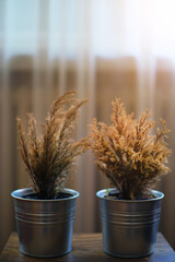 Two dried decorative plants in metal pots