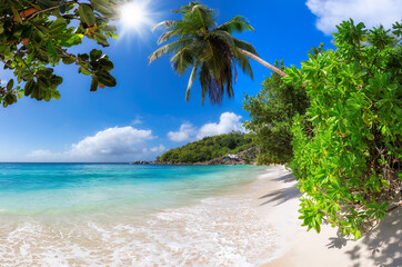 Tropical Sunny beach and coconut palms on white sand beach in Seychelles. Summer vacation and tropical beach concept.  