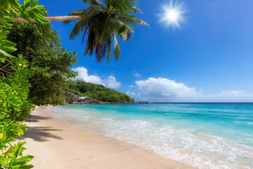 Fototapeta na wymiar Sunny beach, coco palms and turquoise sea in tropical paradise.