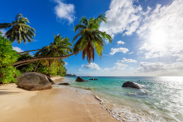 The beach on Paradise Island. Tropical beach with coconut palms, rocks and turquoise sea in...