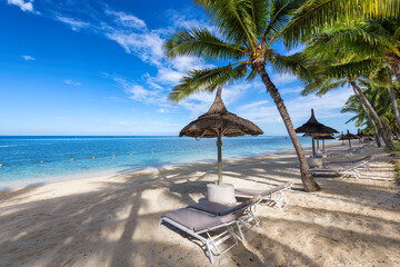 Palm trees in tropical resort. Tropical sunny beach and tropical sea in Mauritius island.