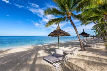 Crédence de cuisine en verre imprimé Le Morne, Maurice Palm trees in tropical resort. Tropical sunny beach and tropical sea in Mauritius island.