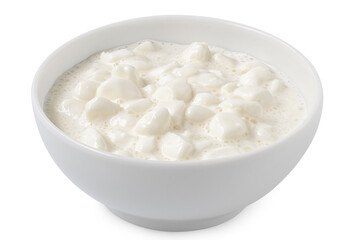 Fototapeta na wymiar Chunky cottage cheese with whey in a white ceramic bowl isolated on white.