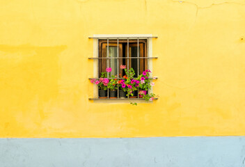 Fototapeta na wymiar a small window with flower pots in Florence
