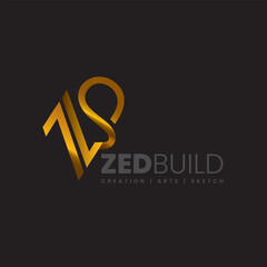 ZS Type Model Fashionable Architecture Logo