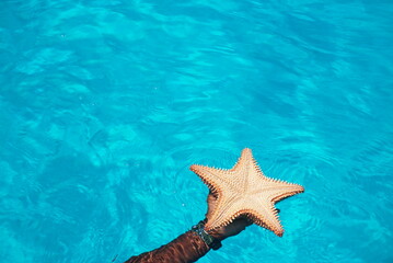 Fototapeta na wymiar Estrella de Mar