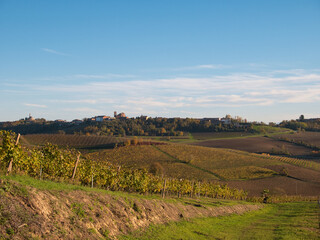 Hills planted with vines in late autumn. Piedmont Region, Italy.