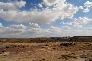 Petrified Forest Arizona