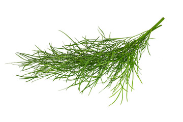 Bunch of fresh  dill