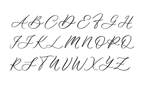 Vector of stylized calligraphic font and alphabet.