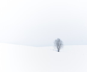 Fototapeta na wymiar Winter landscape of the Lesser Poland countryside
