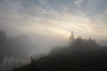 Obraz na płótnie Canvas Morning rural landscape with fog.