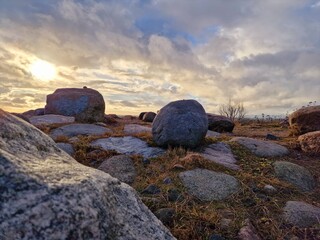 sunset over the meadow